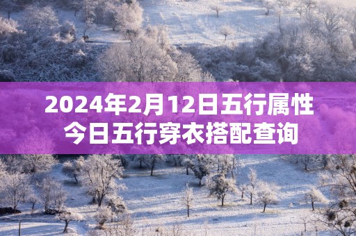 2025年2月12日五行属性 今日五行穿衣搭配查询