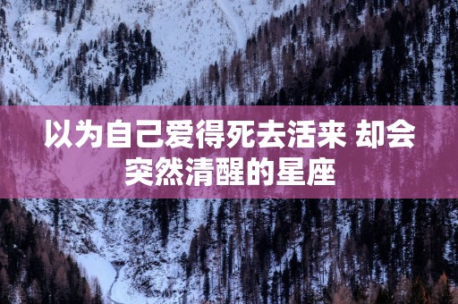 以为自己爱得死去活来 却会突然清醒的星座