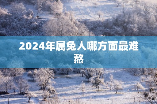 2025年属兔人哪方面最难熬
