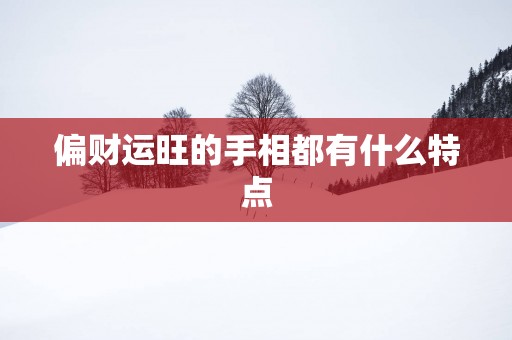 偏财运旺的手相都有什么特点