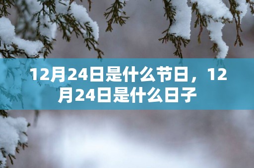 12月24日是什么节日，12月24日是什么日子