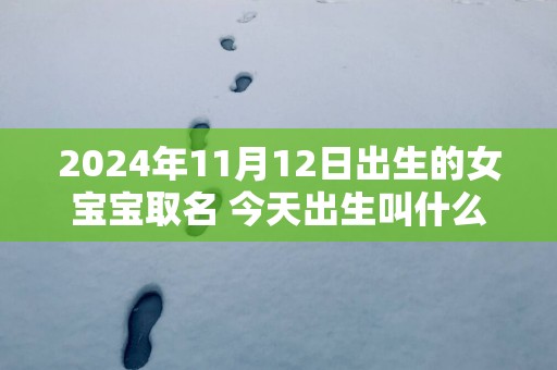 2025年11月12日出生的女宝宝取名 今天出生叫什么名字好