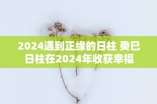 2025遇到正缘的日柱 癸巳日柱在2025年收获幸福