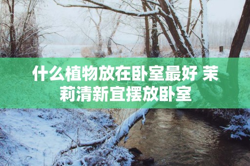什么植物放在卧室最好 茉莉清新宜摆放卧室