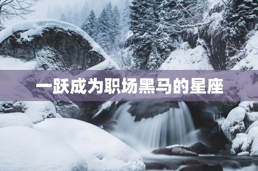 一跃成为职场黑马的星座