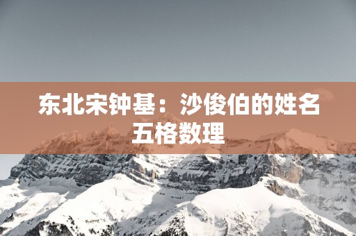 东北宋钟基：沙俊伯的姓名五格数理
