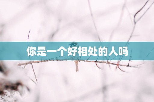 你是一个好相处的人吗