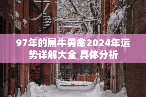 97年的属牛男命2025年运势详解大全 具体分析