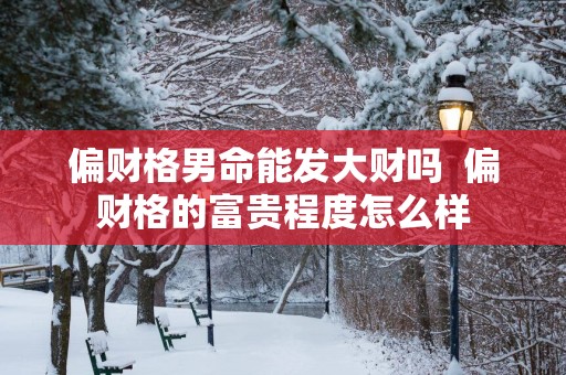 偏财格男命能发大财吗  偏财格的富贵程度怎么样