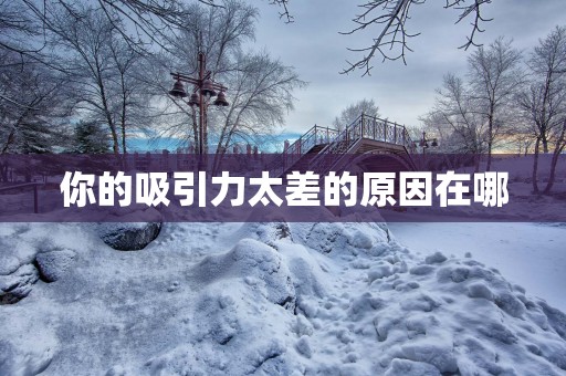 你的吸引力太差的原因在哪