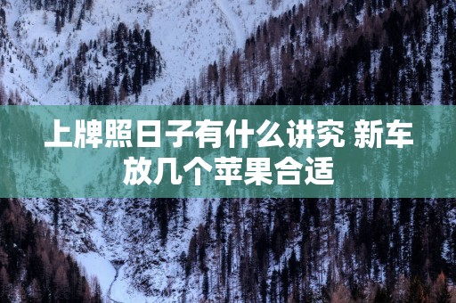 上牌照日子有什么讲究 新车放几个苹果合适