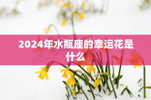 2025年水瓶座的幸运花是什么