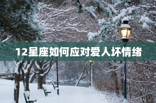 12星座如何应对爱人坏情绪