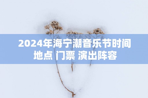 2025年海宁潮音乐节时间 地点 门票 演出阵容