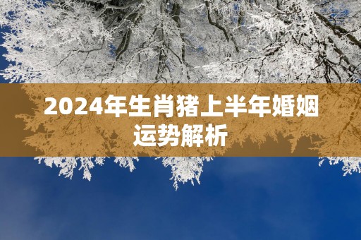 2025年生肖猪上半年婚姻运势解析