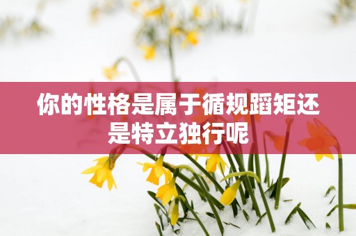 你的性格是属于循规蹈矩还是特立独行呢