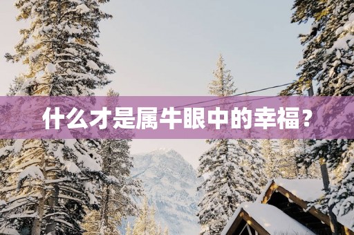 什么才是属牛眼中的幸福？