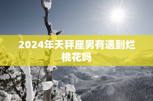 2025年天秤座男有遇到烂桃花吗