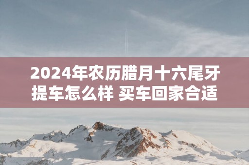 2025年农历腊月十六尾牙提车怎么样 买车回家合适吗