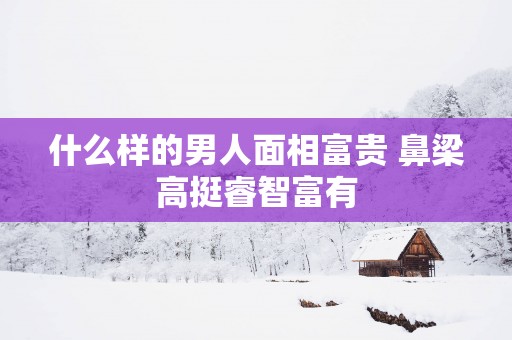 什么样的男人面相富贵 鼻梁高挺睿智富有