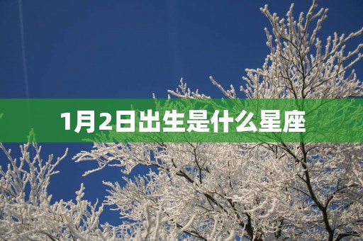 1月2日出生是什么星座