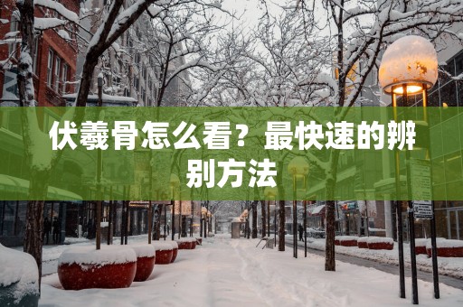 伏羲骨怎么看？最快速的辨别方法