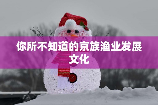 你所不知道的京族渔业发展文化