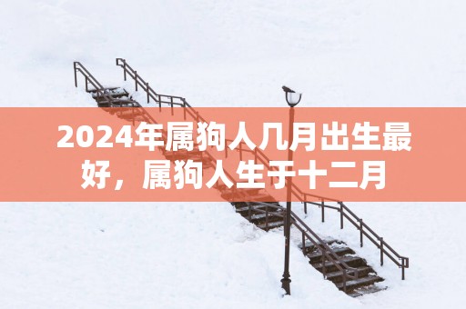 2025年属狗人几月出生最好，属狗人生于十二月
