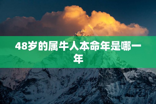 48岁的属牛人本命年是哪一年 48岁的属牛人本命年是哪一年