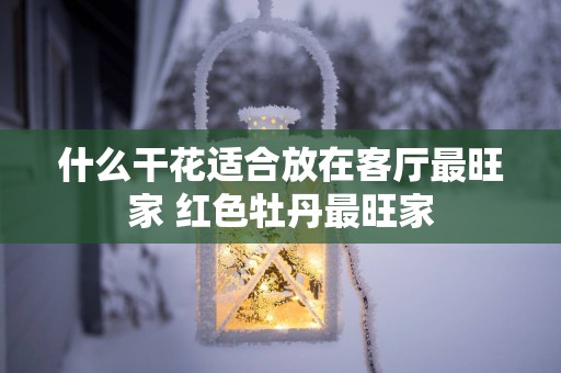 什么干花适合放在客厅最旺家 红色牡丹最旺家