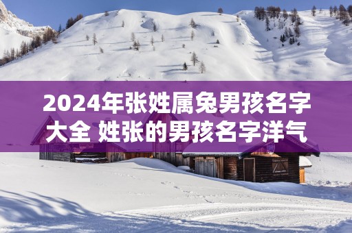 2025年张姓属兔男孩名字大全 姓张的男孩名字洋气的