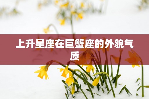 上升星座在巨蟹座的外貌气质