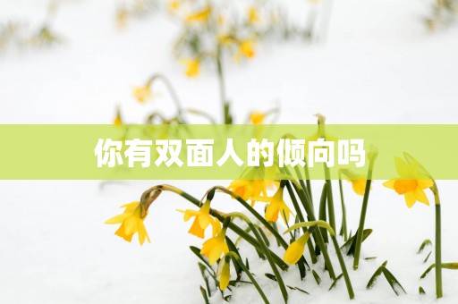 你有双面人的倾向吗