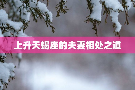 上升天蝎座的夫妻相处之道