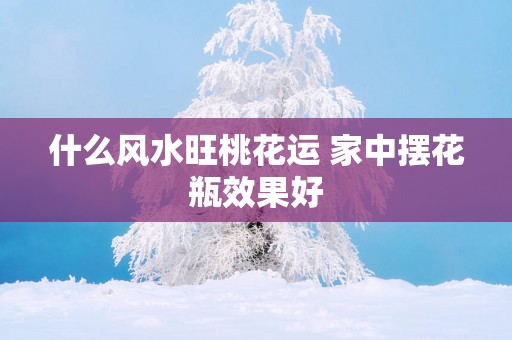 什么风水旺桃花运 家中摆花瓶效果好