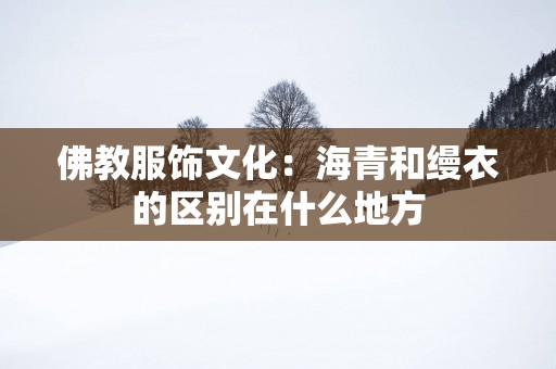 佛教服饰文化：海青和缦衣的区别在什么地方