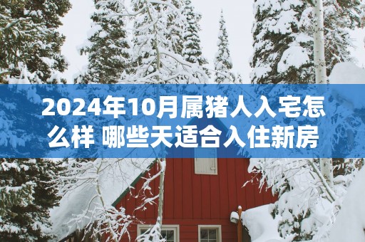 2025年10月属猪人入宅怎么样 哪些天适合入住新房