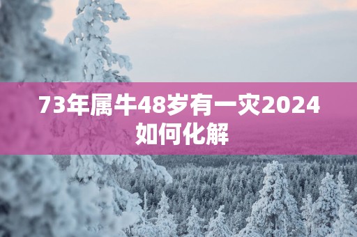 73年属牛48岁有一灾2025 如何化解