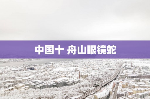 中国十 舟山眼镜蛇