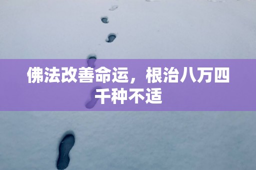 佛法改善命运，根治八万四千种不适