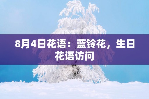 8月4日花语：蓝铃花，生日花语访问