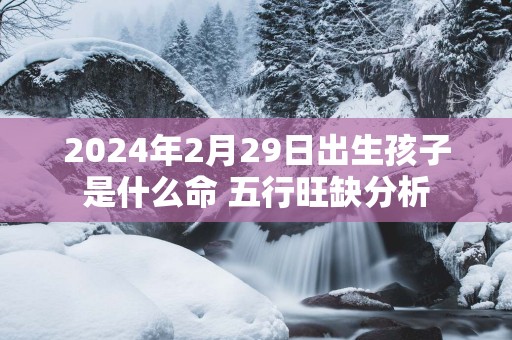 2025年2月29日出生孩子是什么命 五行旺缺分析