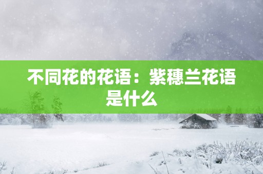 不同花的花语：紫穗兰花语是什么