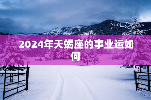 2025年天蝎座的事业运如何