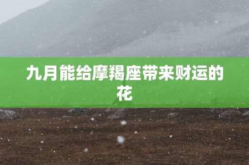 九月能给摩羯座带来财运的花