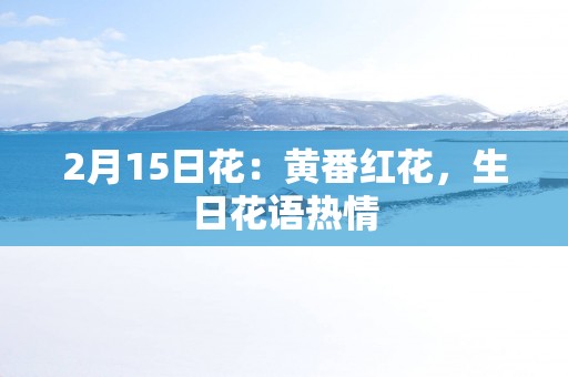 2月15日花：黄番红花，生日花语热情