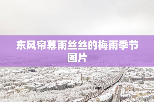 东风帘幕雨丝丝的梅雨季节图片