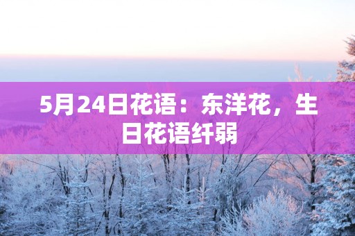 5月24日花语：东洋花，生日花语纤弱