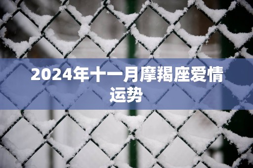 2025年十一月摩羯座爱情运势