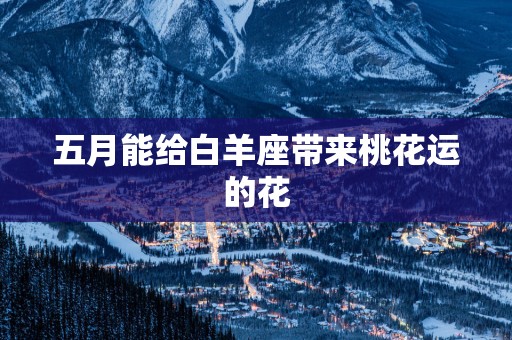 五月能给白羊座带来桃花运的花